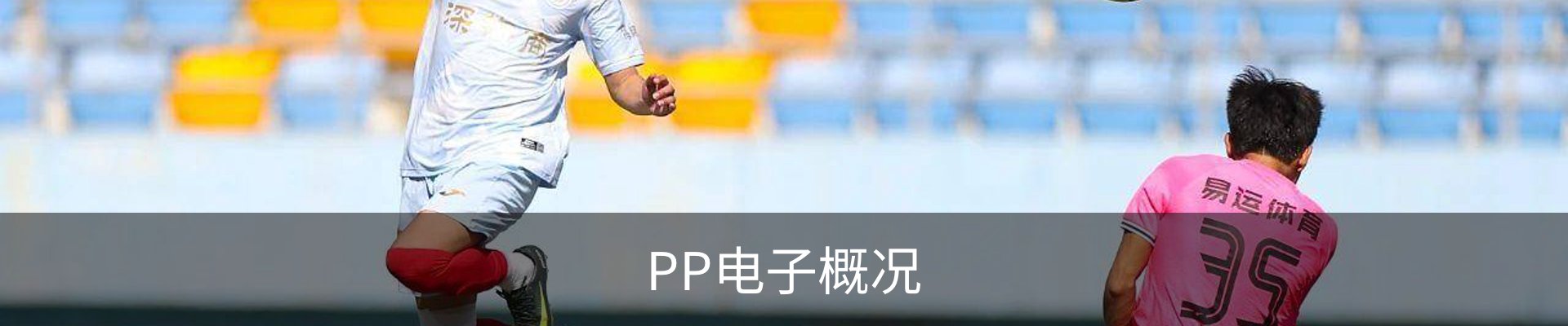 PP电子概况